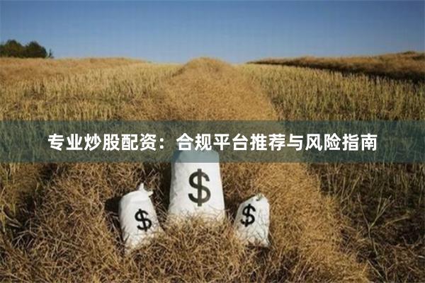 专业炒股配资：合规平台推荐与风险指南