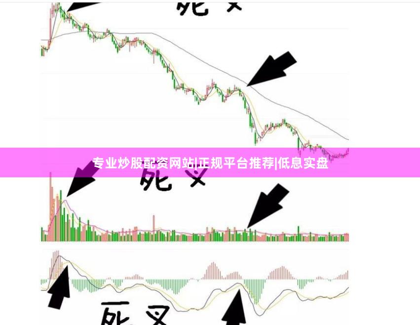 专业炒股配资网站|正规平台推荐|低息实盘
