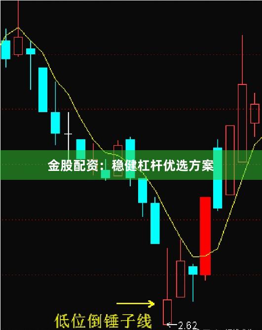 金股配资：稳健杠杆优选方案