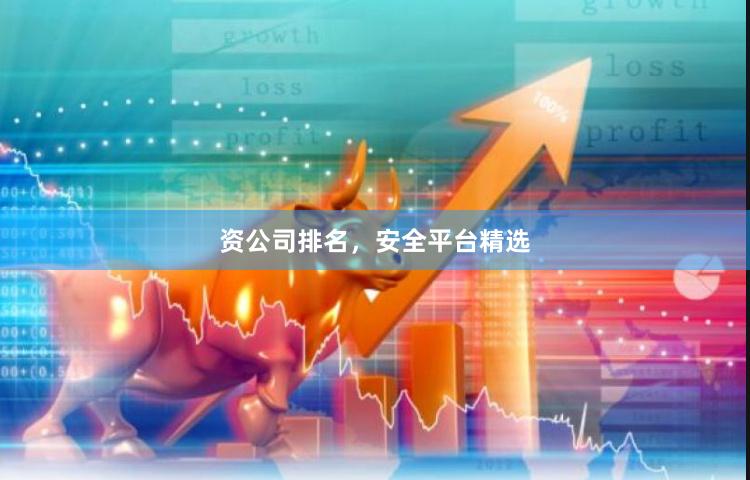 资公司排名，安全平台精选